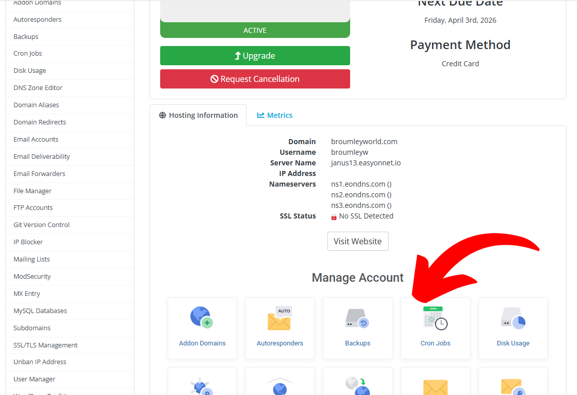 Service page showing cPanel access and management icons
